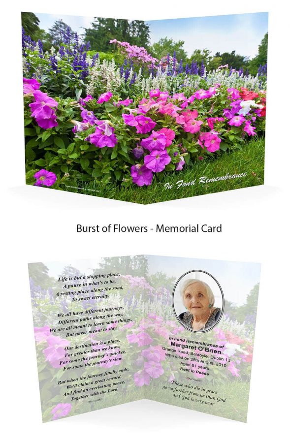 Burst Of Flowers