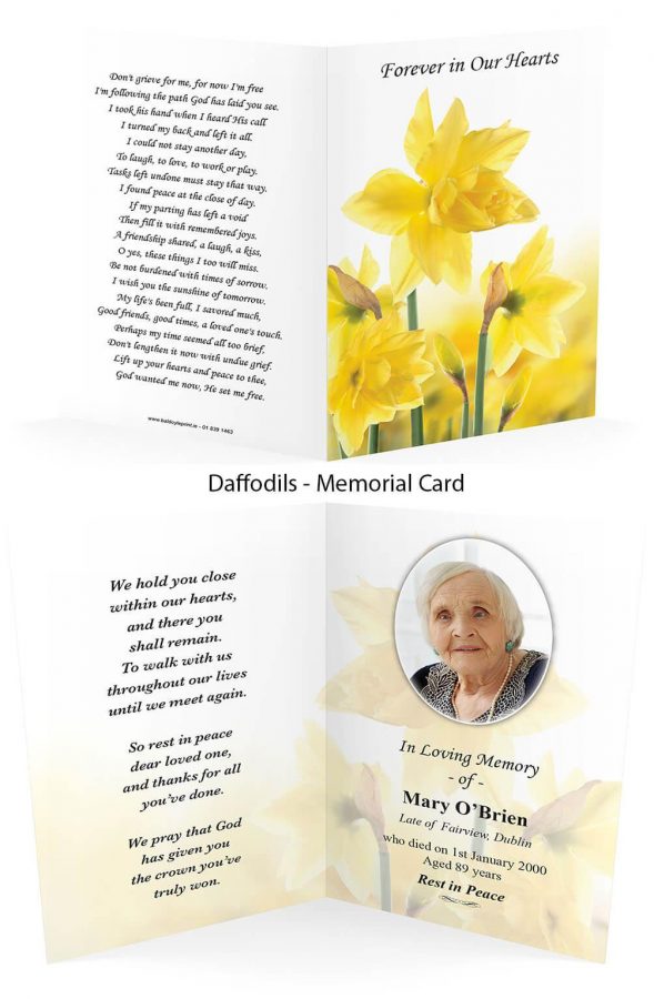 Daffodils