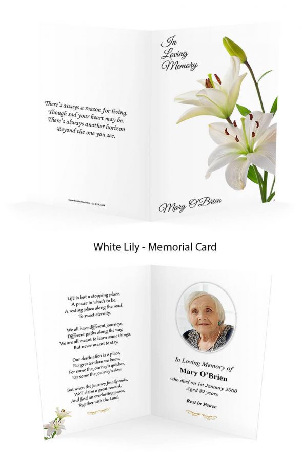 White Lily
