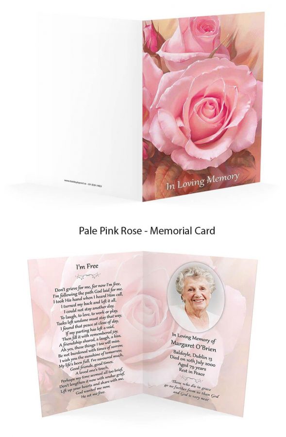 Pale Pink Rose