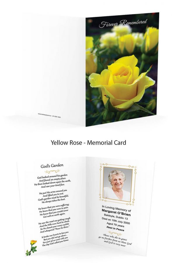 Yellow Rose
